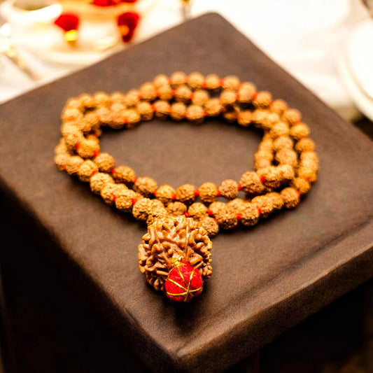 Nepali 7 Mukhi Rudraksha with 5 Mukhi Rudraksha Mala