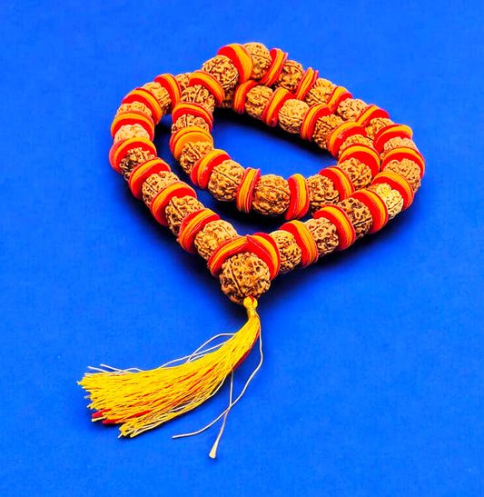 Premium Quality Nepali 4 Mukhi Rudraksha Kantha with Red yellow Velvet