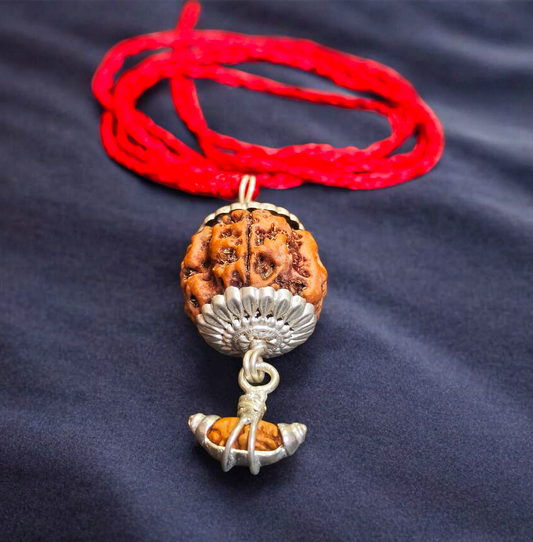 Java 1 Mukhi Rudraksh With 5 Mukhi Rudraksha
