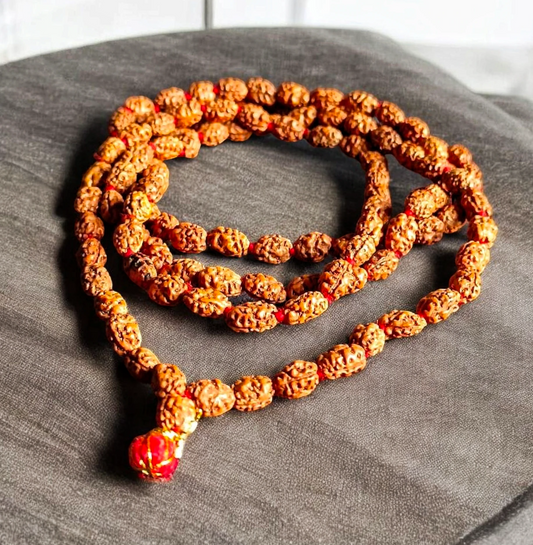 Java 2 Mukhi Rudraksha Mala Lab Certified