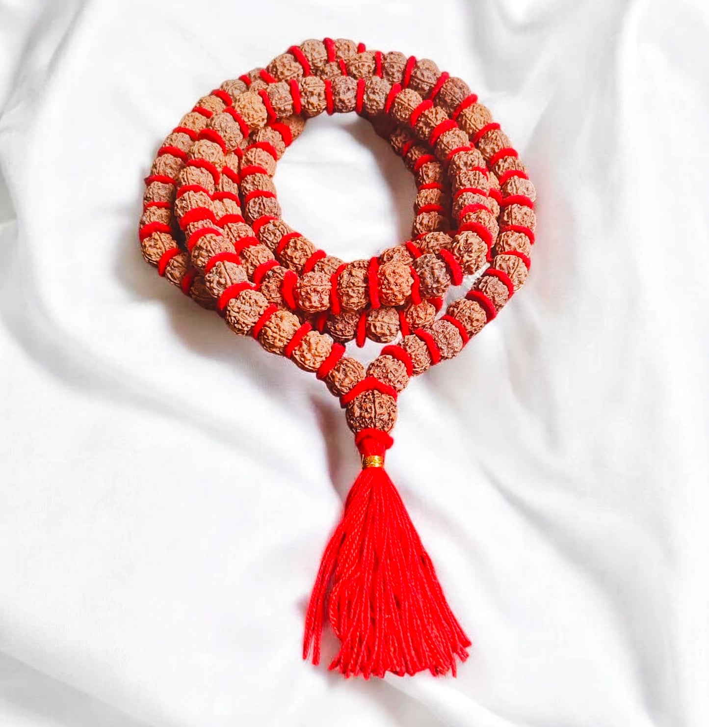 Nepali 4 Mukhi Rudraksha kantha With Red Velvet