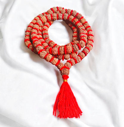 Nepali 4 Mukhi Rudraksha kantha With Red Velvet