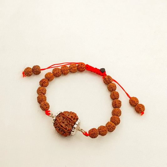 Nepali 5 Mukhi Rudraksha Bracelet With Pure Silver Capping