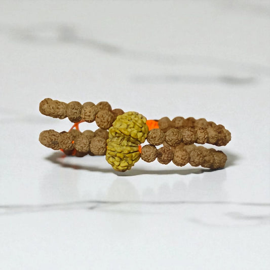 Nepali Gaurishankar Rudraksha Bracelet