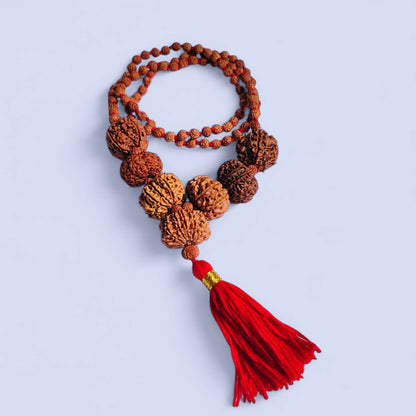 4 6 7 8 10 11 13 Mukhi Rudraksh Combination Mala