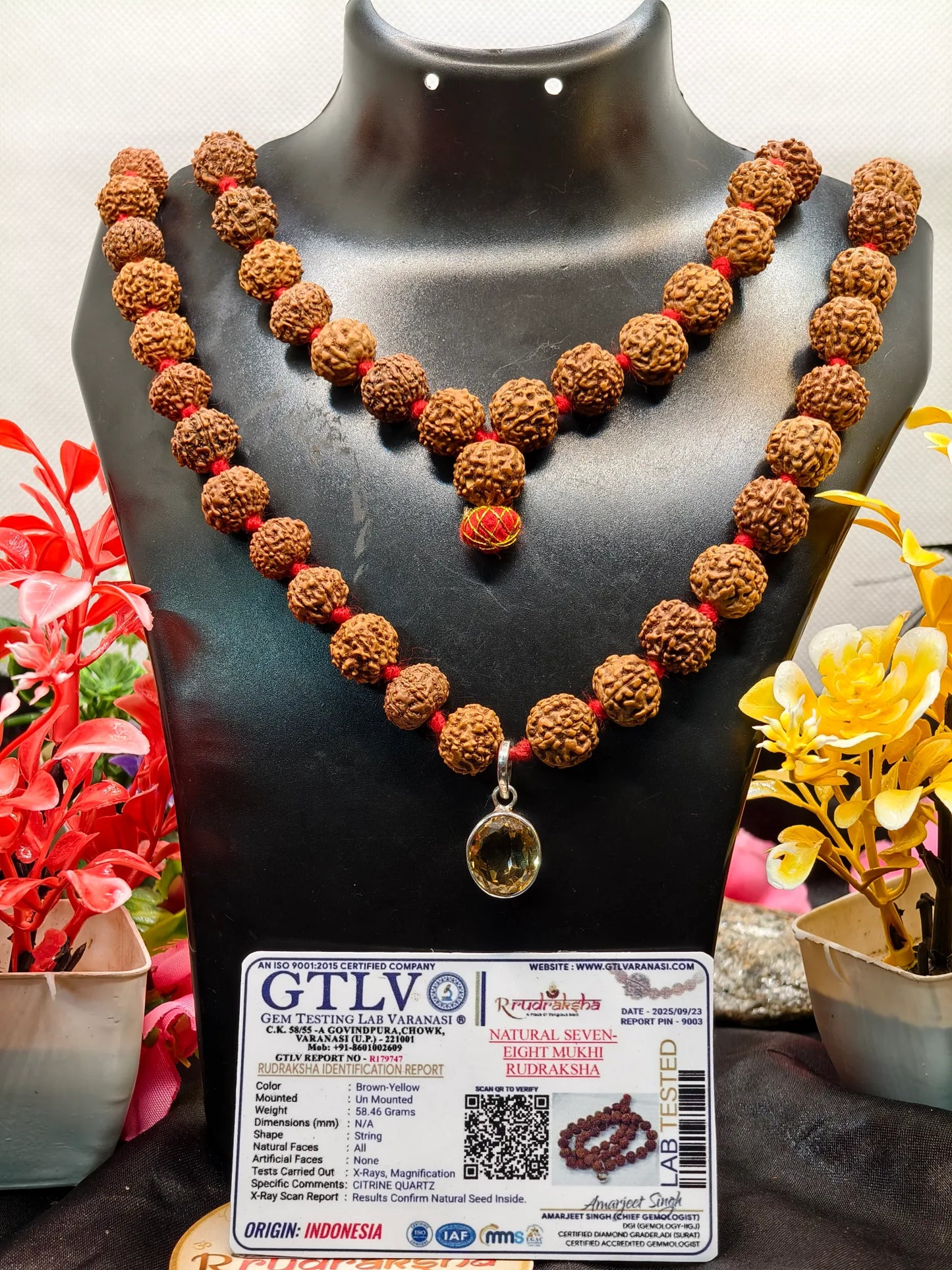 Dhan Vridhi Kavach for Health and Wealth