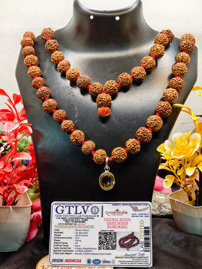 Dhan Vridhi Kavach for Health and Wealth