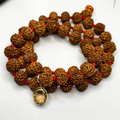 Dhan Vridhi Kavach for Health and Wealth