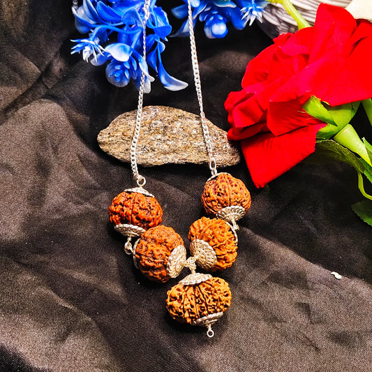 Premium Quality Nepali 12 8 7 4 5 Mukhi Rudraksha In pure Silver Capping And Chain