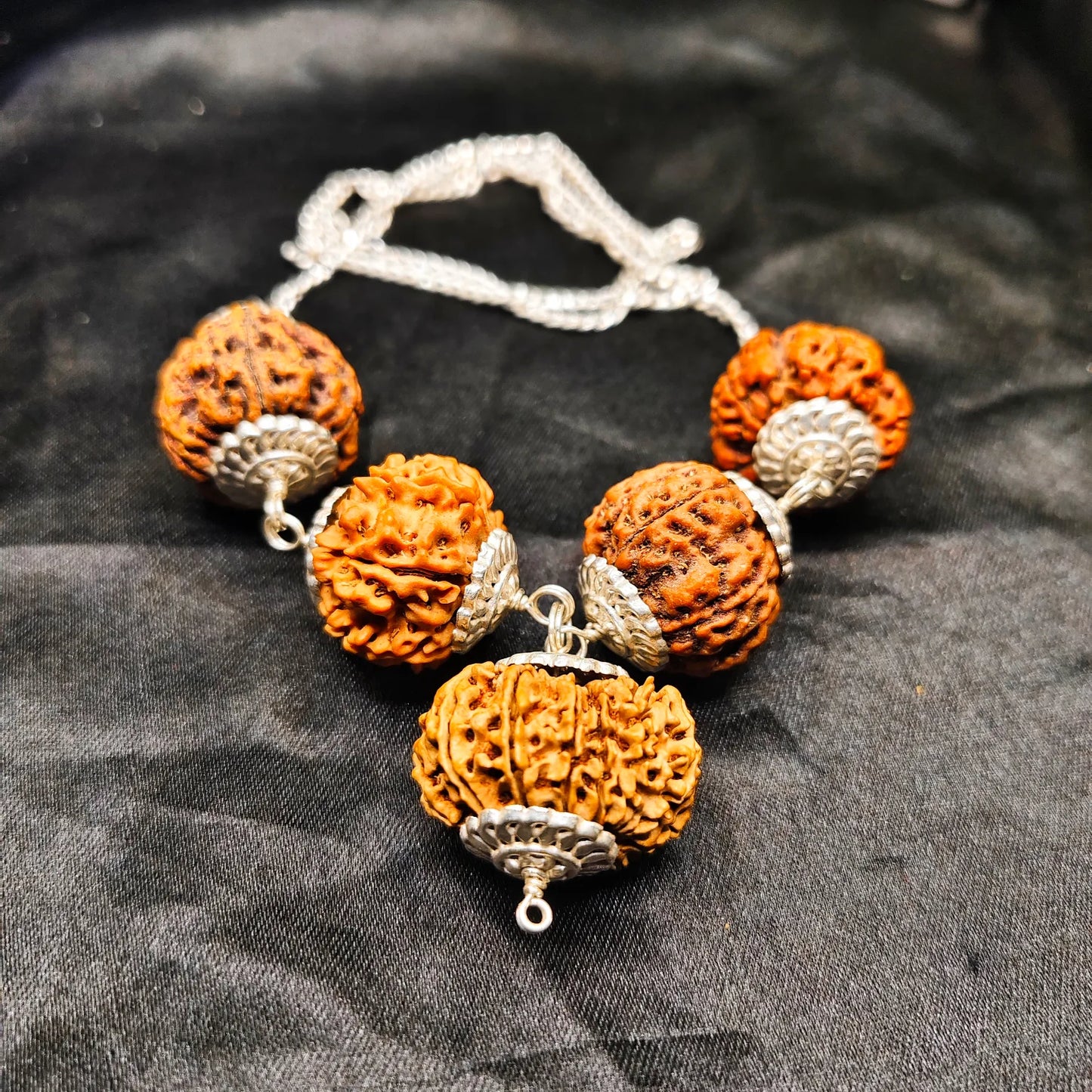 Premium Quality Nepali 12 8 7 4 5 Mukhi Rudraksha In pure Silver Capping And Chain