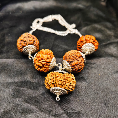 Premium Quality Nepali 12 8 7 4 5 Mukhi Rudraksha In pure Silver Capping And Chain