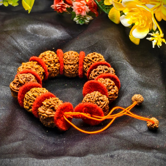 Nepali 8 Mukhi Rudraksha Bracelet With Red Velvet