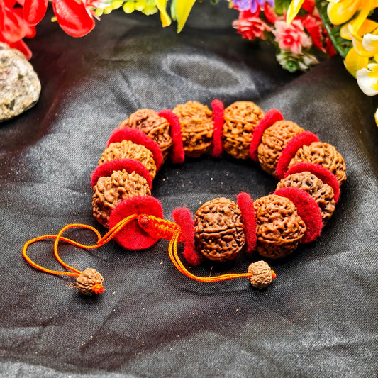 Nepali 8 Mukhi Rudraksha Bracelet With Red Velvet