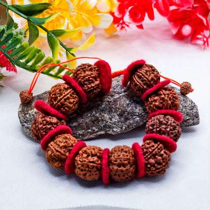 Nepali 8 Mukhi Rudraksha Bracelet With Red Velvet