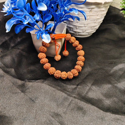 Lab Certified Java 11 Mukhi Rudraksha Bracelet With