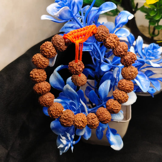 Lab Certified Java 11 Mukhi Rudraksha Bracelet With