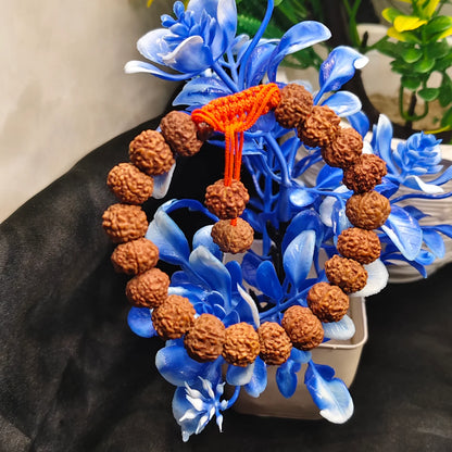 Lab Certified Java 11 Mukhi Rudraksha Bracelet With