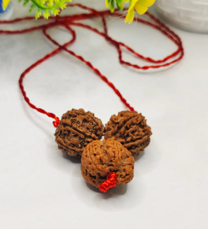 Nepali 6 7 And Ganesh Rudraksha Kavach