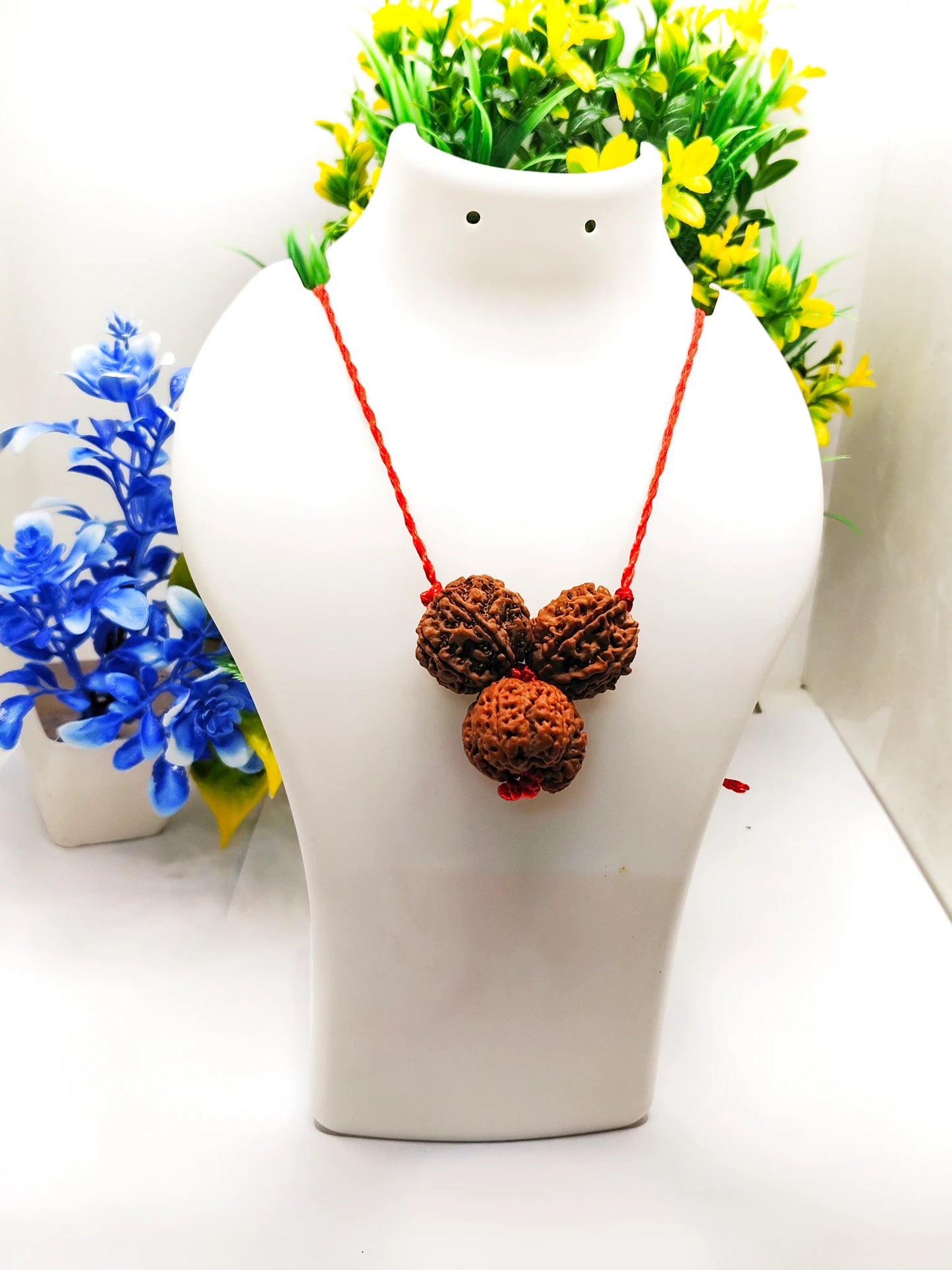 Nepali 6 7 And Ganesh Rudraksha Kavach