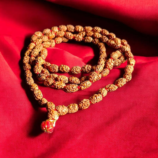 Lab Certified 3 Mukhi Rudraksha Mala